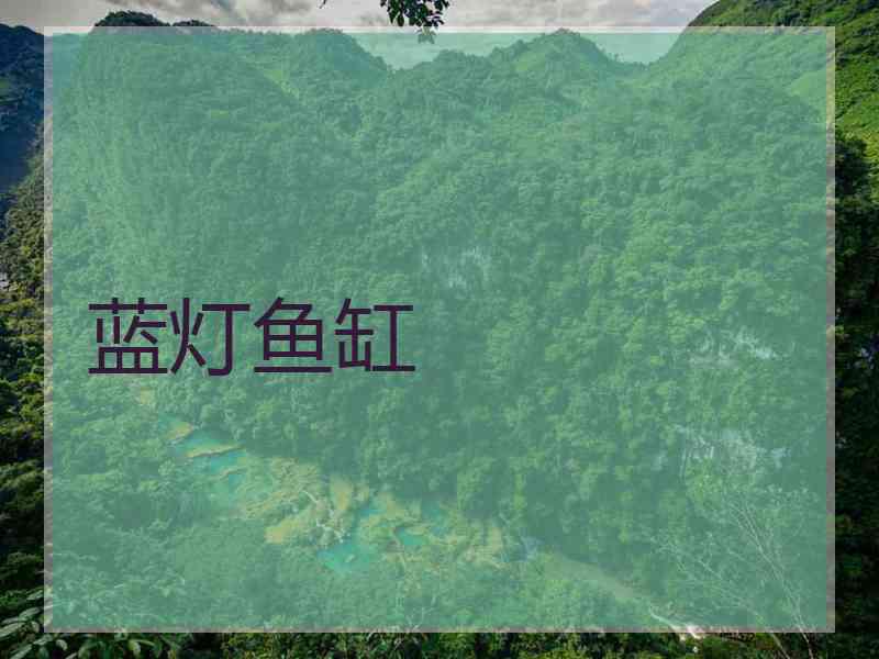 蓝灯鱼缸 蓝灯鱼缸