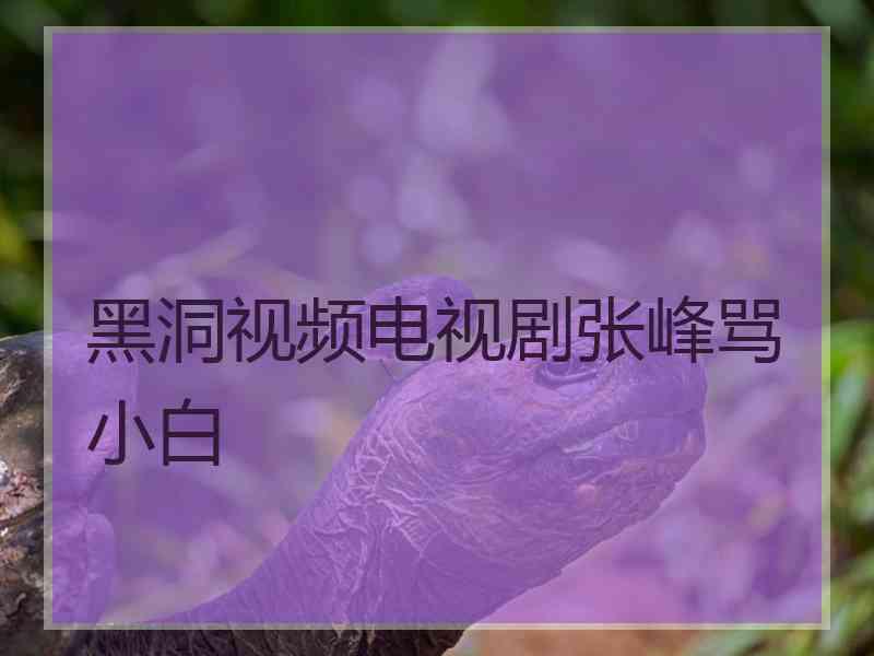 黑洞视频电视剧张峰骂小白 黑洞视频电视剧张峰骂小白