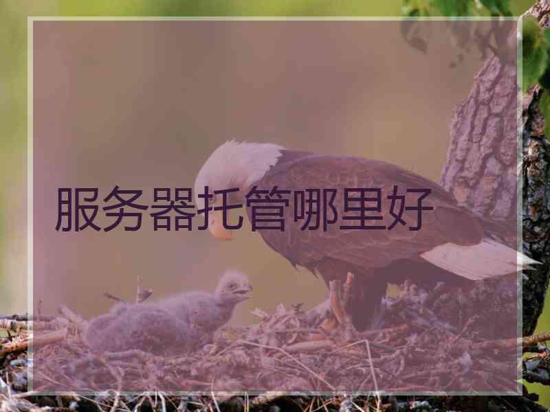 服务器托管哪里好 服务器托管哪里好