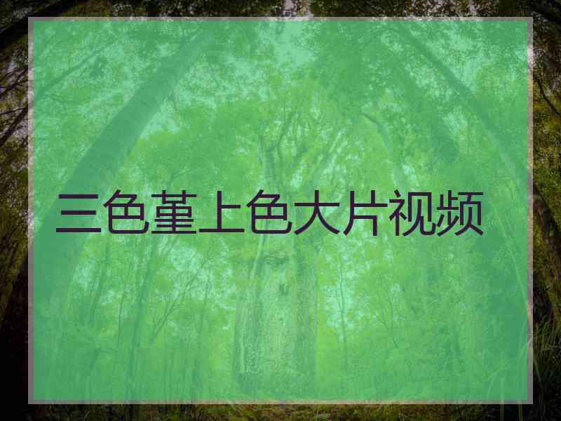 三色堇上色大片视频 三色堇上色大片视频