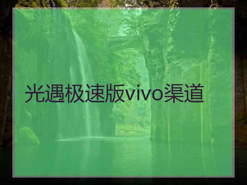 光遇极速版vivo渠道 光遇极速版vivo渠道