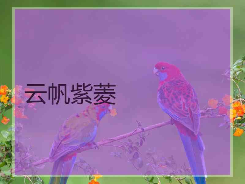 云帆紫菱
