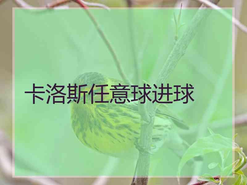 卡洛斯任意球进球
