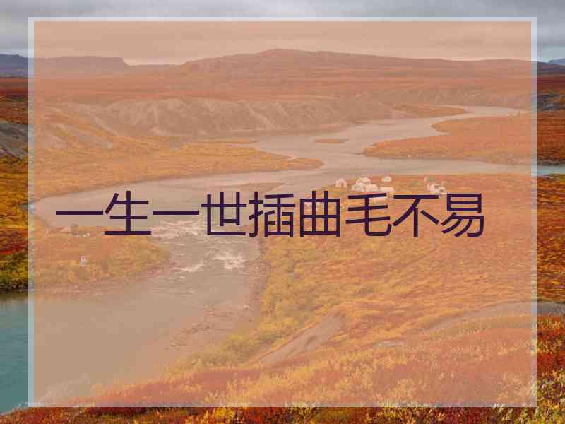 一生一世插曲毛不易