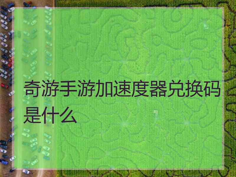 奇游手游加速度器兑换码是什么