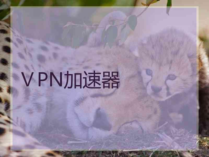 ⅤPN加速器