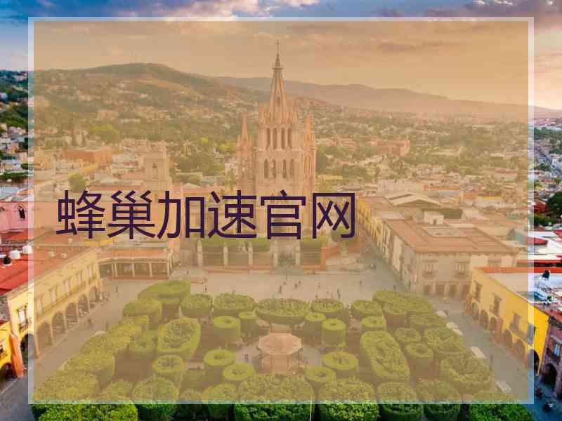蜂巢加速官网