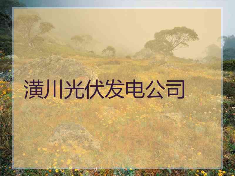 潢川光伏发电公司