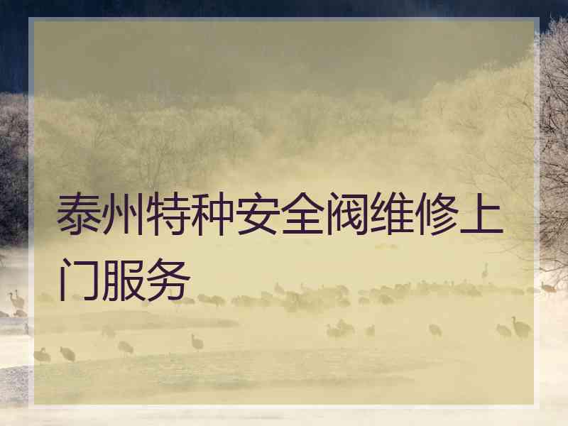 泰州特种安全阀维修上门服务