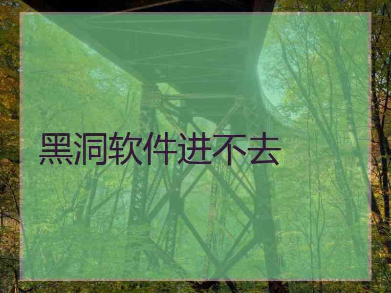 黑洞软件进不去
