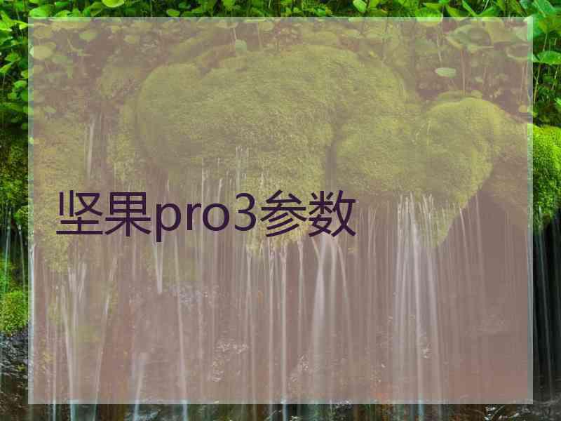 坚果pro3参数