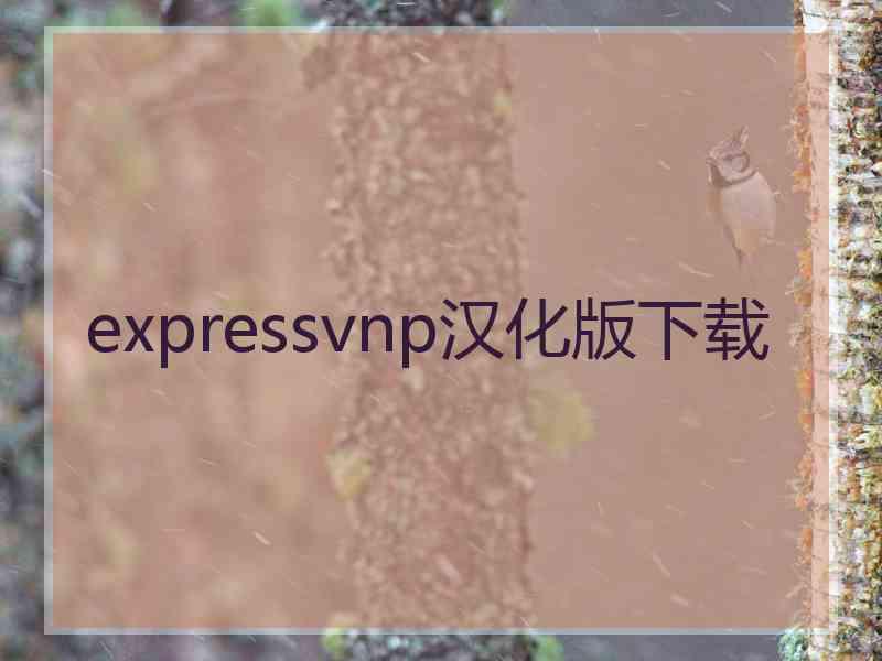 expressvnp汉化版下载