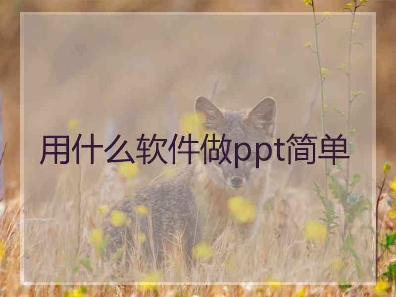 用什么软件做ppt简单