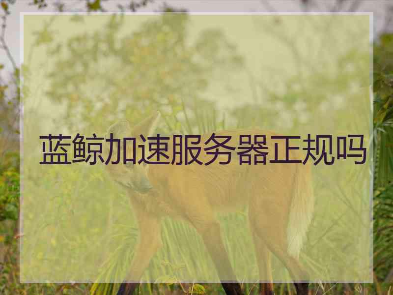 蓝鲸加速服务器正规吗