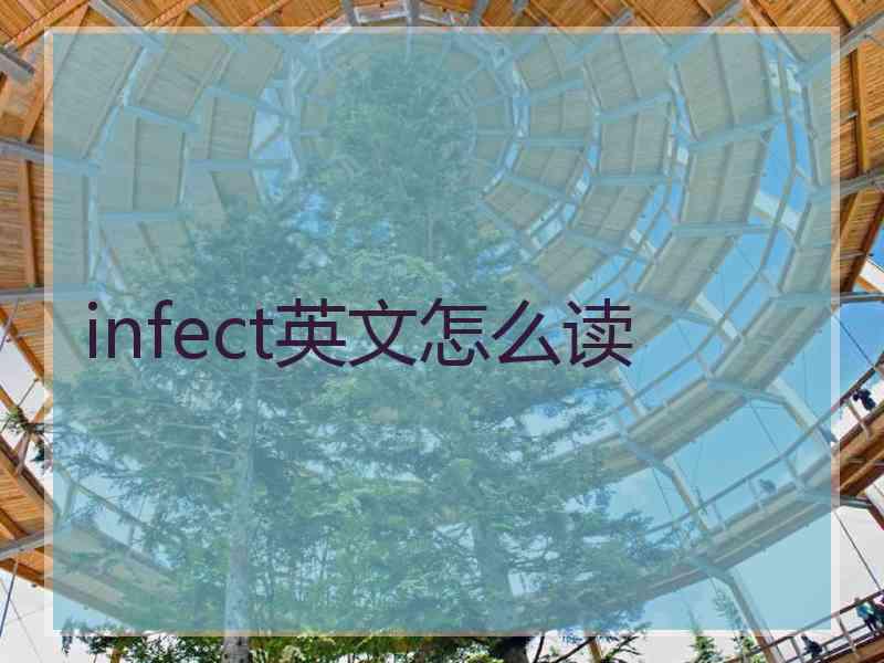 infect英文怎么读