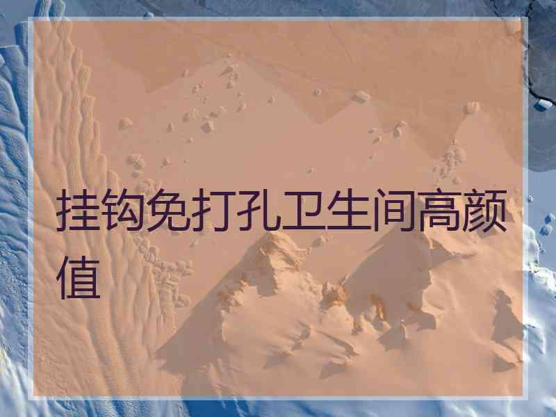 挂钩免打孔卫生间高颜值