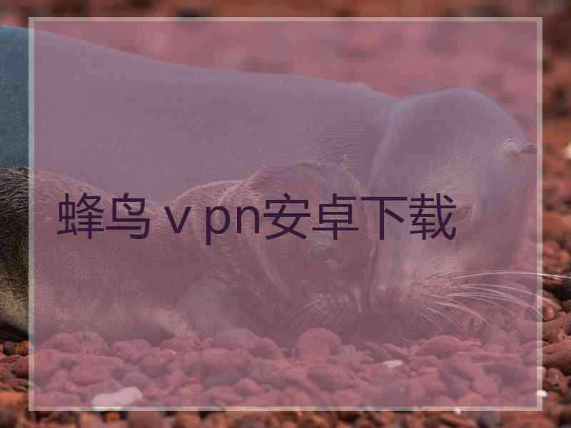 蜂鸟ⅴpn安卓下载