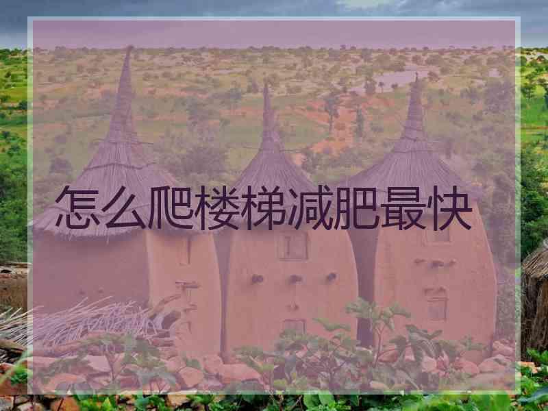 怎么爬楼梯减肥最快