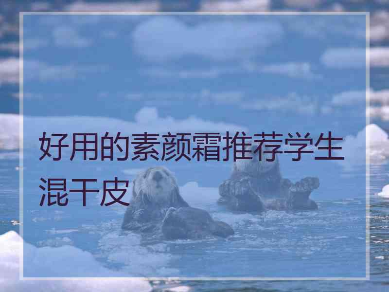 好用的素颜霜推荐学生混干皮