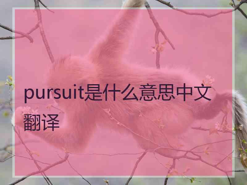 pursuit是什么意思中文翻译