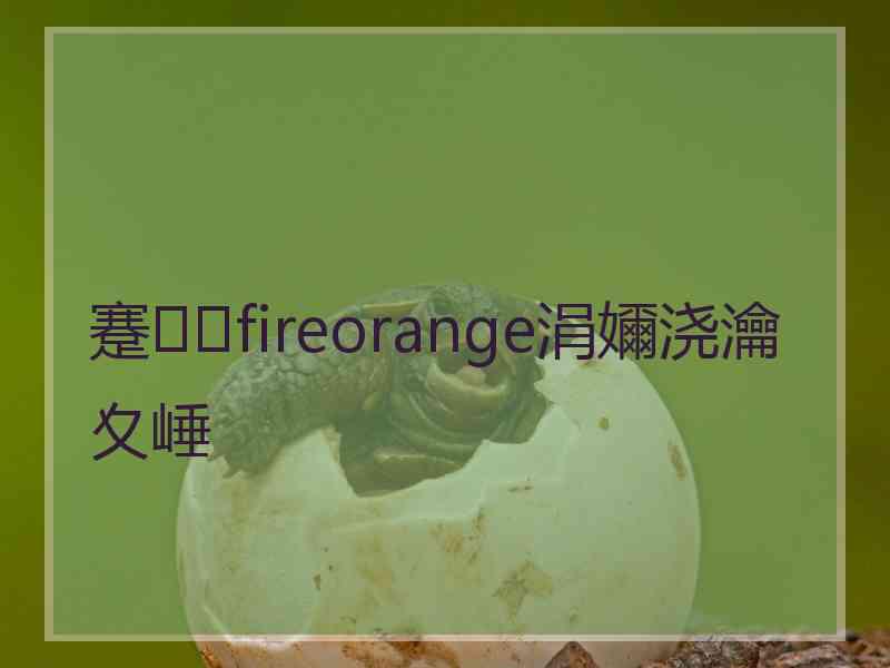蹇fireorange涓嬭浇瀹夊崜