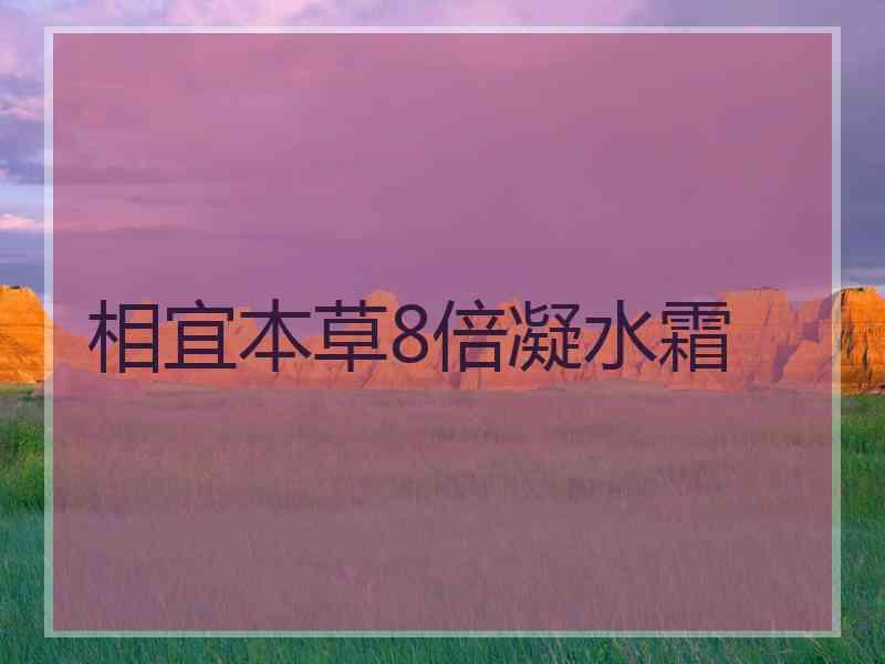 相宜本草8倍凝水霜