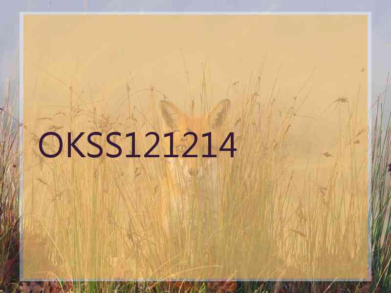 OKSS121214
