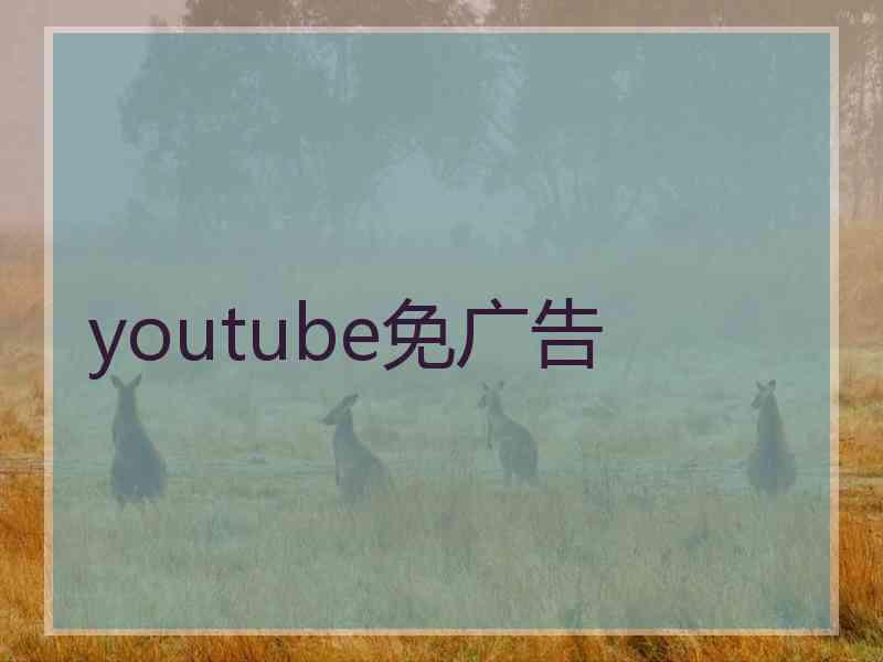 youtube免广告