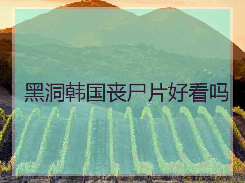 黑洞韩国丧尸片好看吗