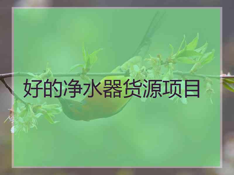 好的净水器货源项目