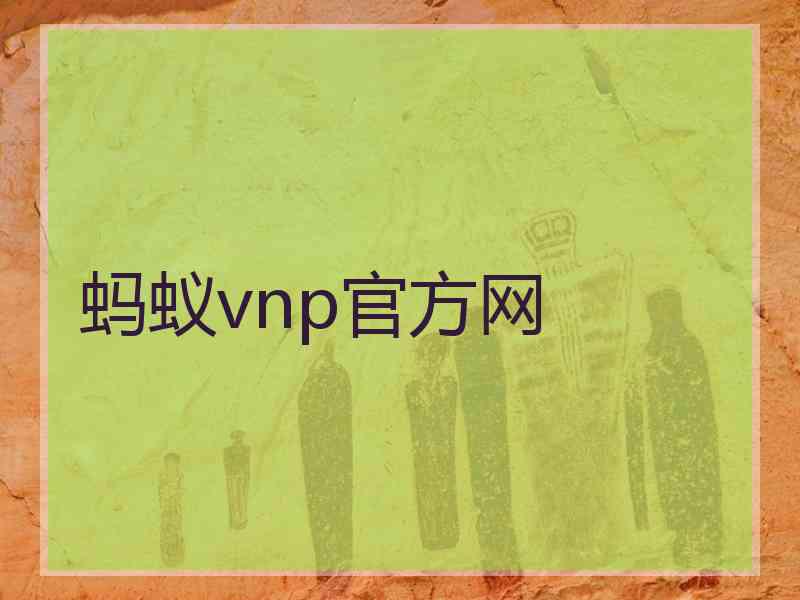 蚂蚁vnp官方网