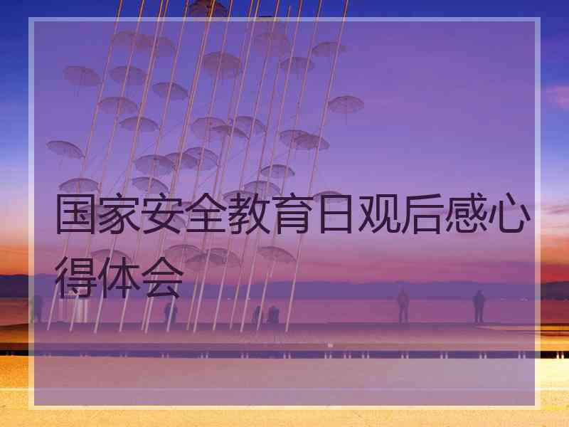 国家安全教育日观后感心得体会