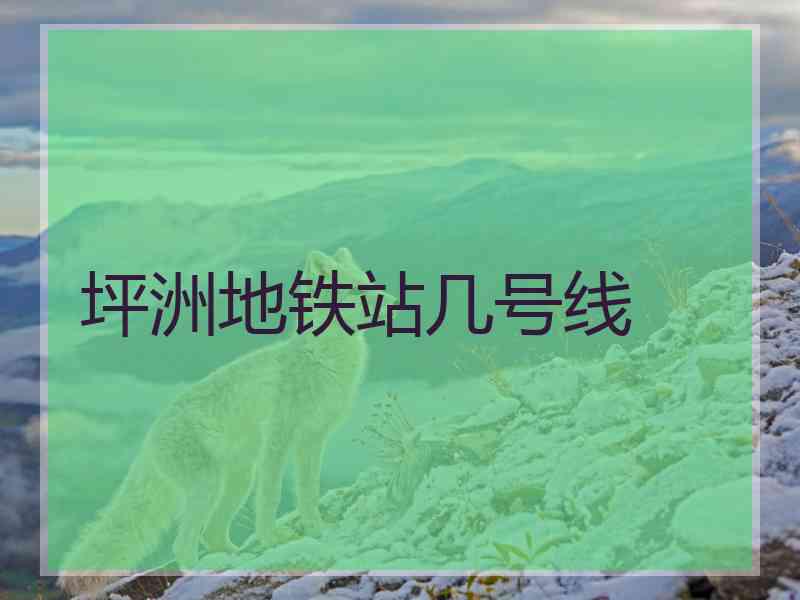 坪洲地铁站几号线