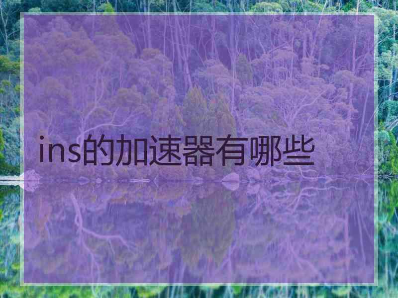 ins的加速器有哪些