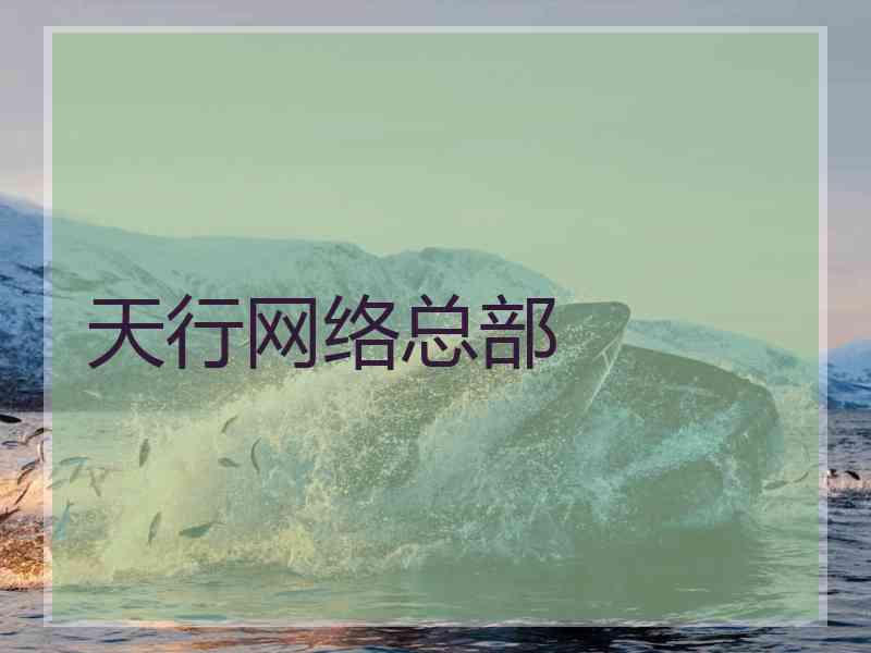 天行网络总部