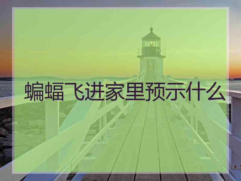 蝙蝠飞进家里预示什么