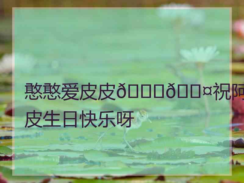 憨憨爱皮皮💗💤祝阿皮生日快乐呀
