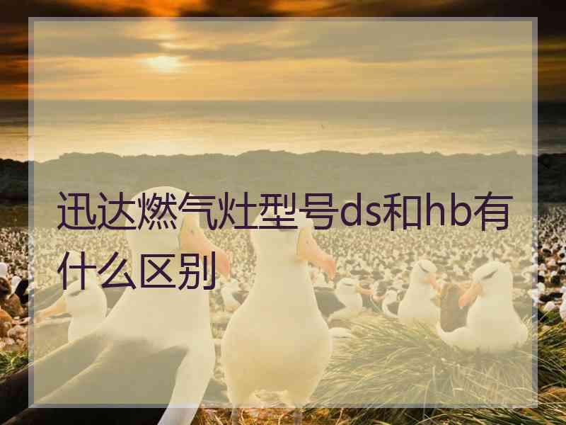 迅达燃气灶型号ds和hb有什么区别