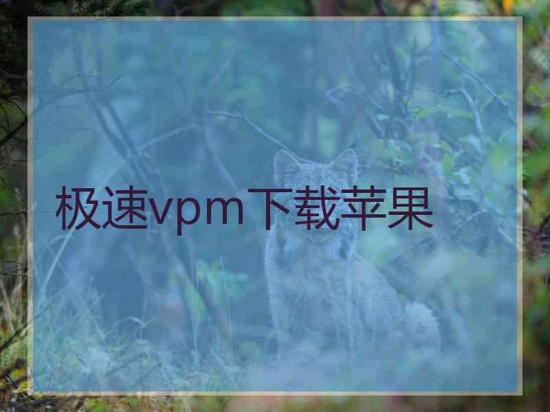 极速vpm下载苹果