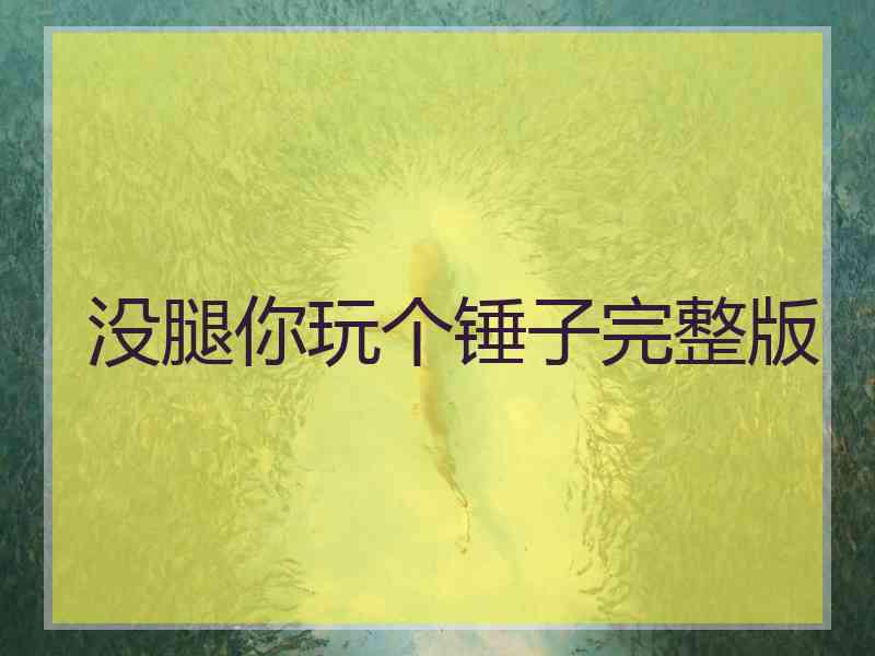 没腿你玩个锤子完整版