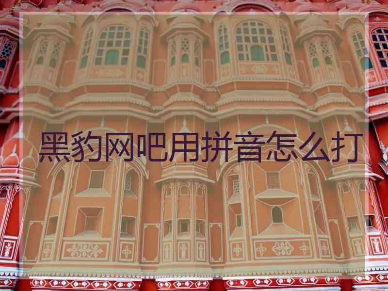 黑豹网吧用拼音怎么打