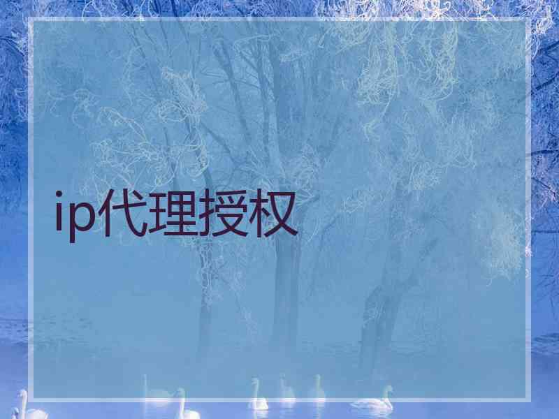 ip代理授权