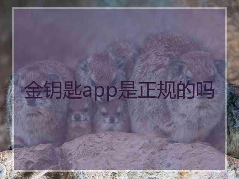 金钥匙app是正规的吗