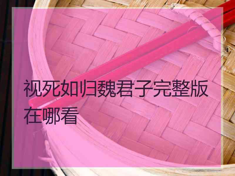 视死如归魏君子完整版在哪看