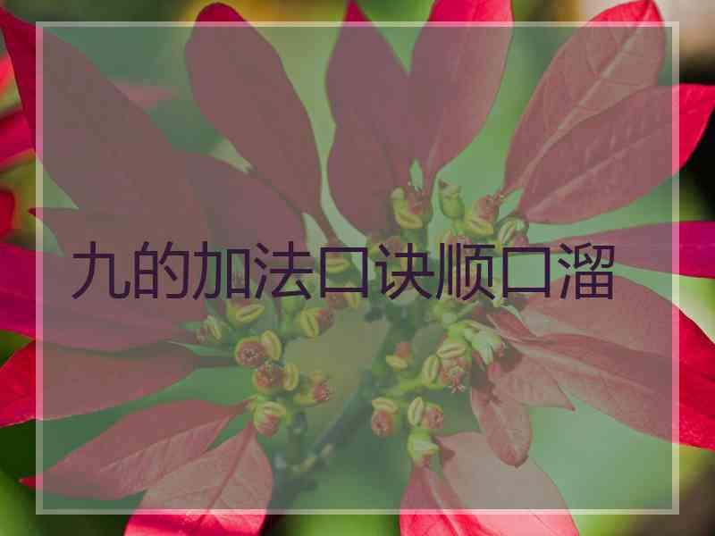 九的加法口诀顺口溜