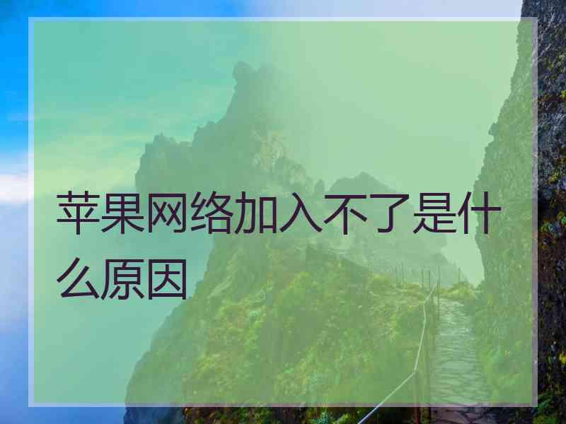 苹果网络加入不了是什么原因