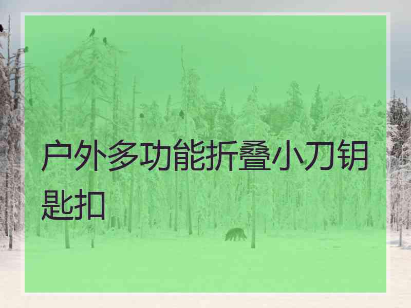 户外多功能折叠小刀钥匙扣