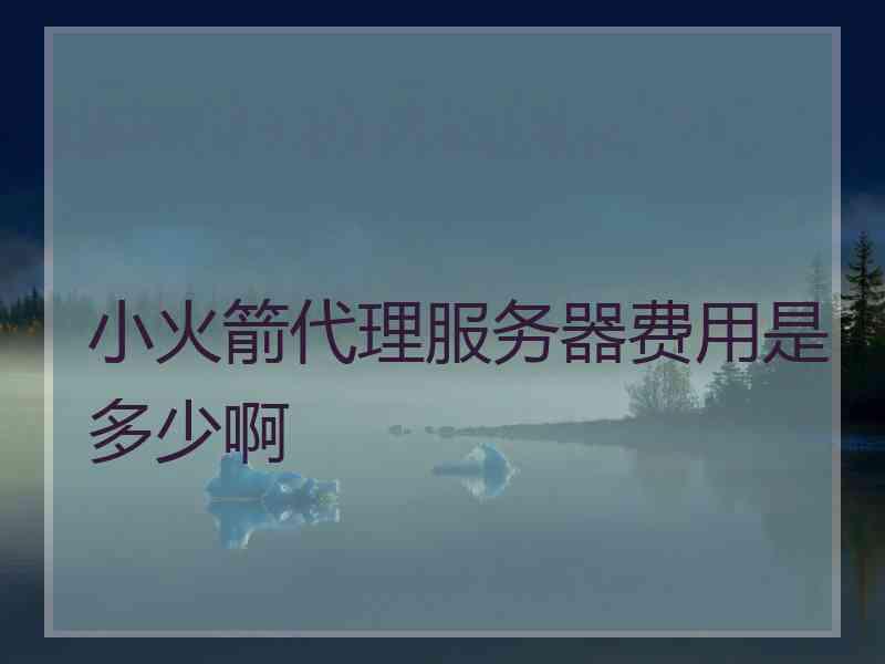 小火箭代理服务器费用是多少啊