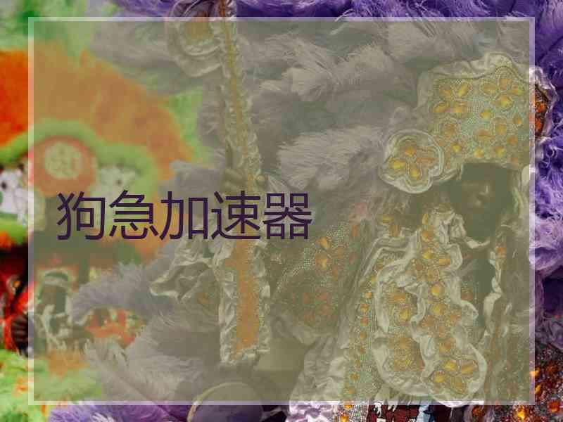 狗急加速器