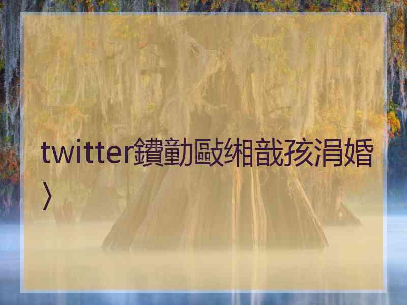 twitter鐨勭敺缃戠孩涓婚〉